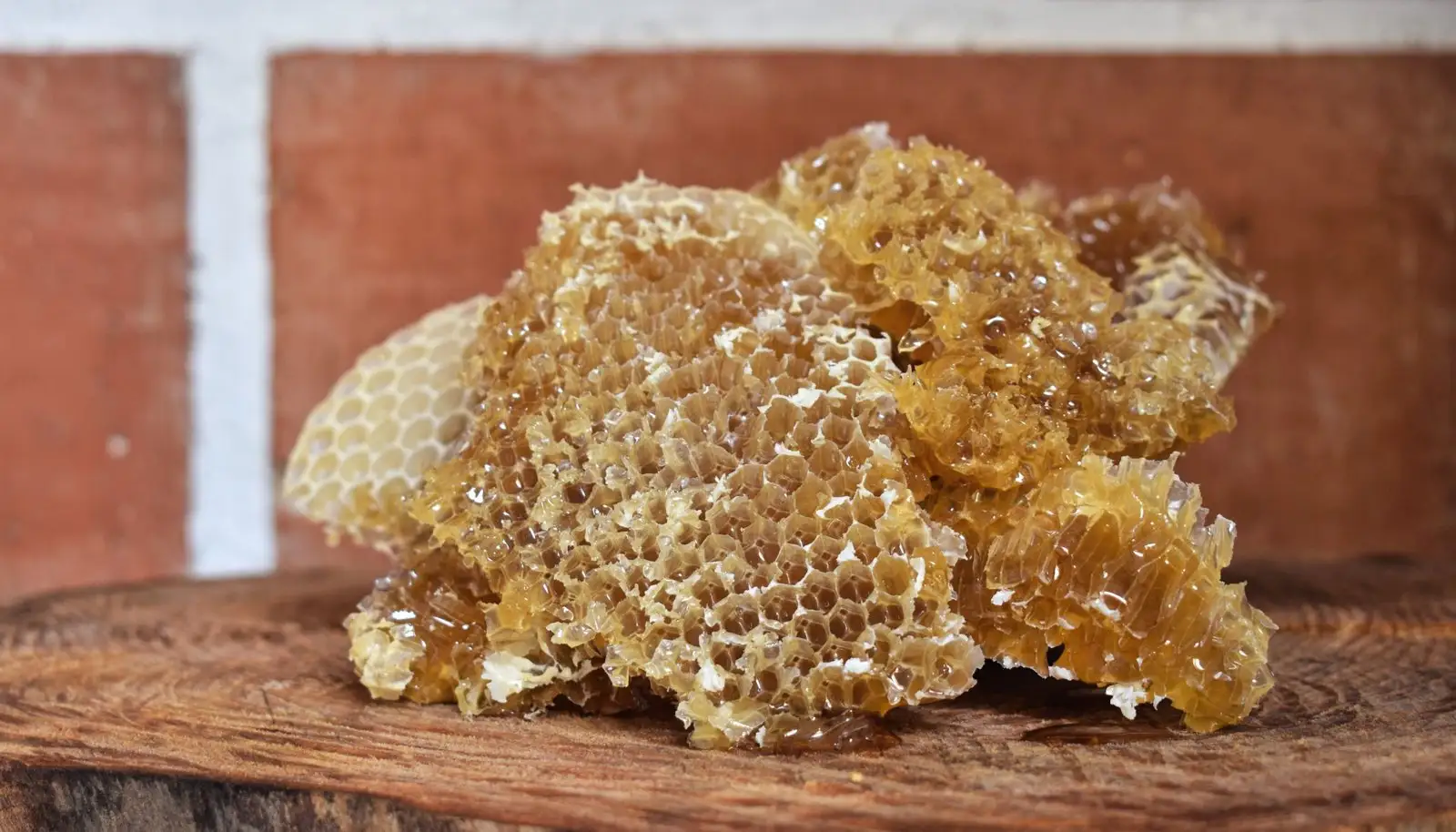 Gros plan sur de la propolis brute, résineuse et dorée, posée près d'une ruche en bois au soleil.